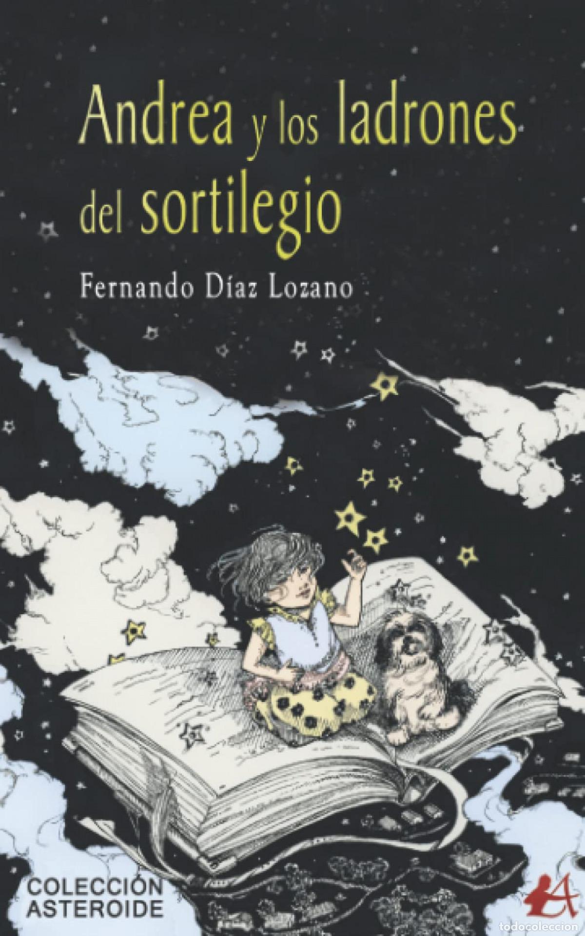 Libros: Andrea y los ladrones del sortilegio - Diaz Lozano, Fernando - Foto 1