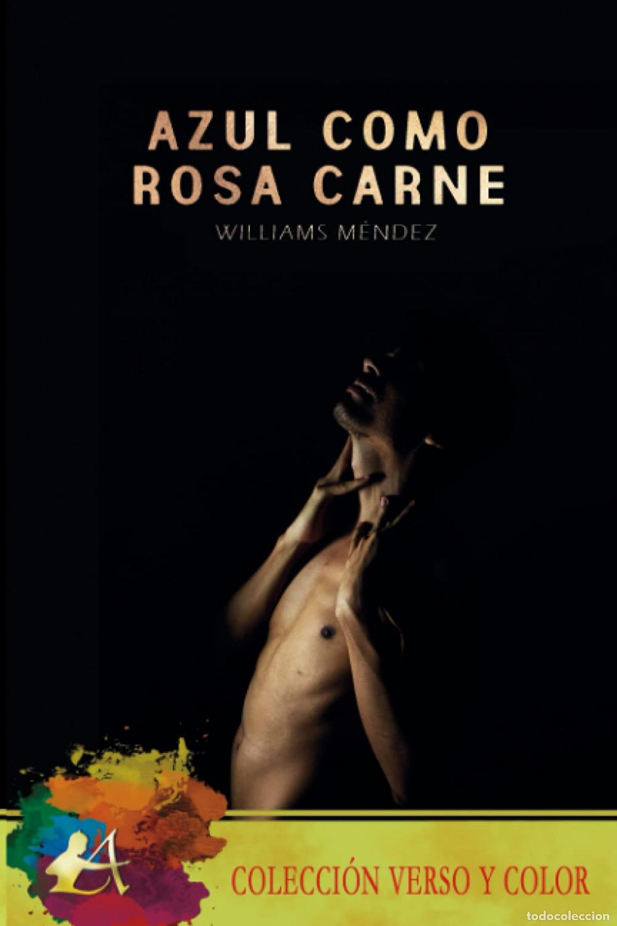 Libros: AZUL COMO ROSA CARNE - M&Eacute;NDEZ,WILLIAMS - Foto 1