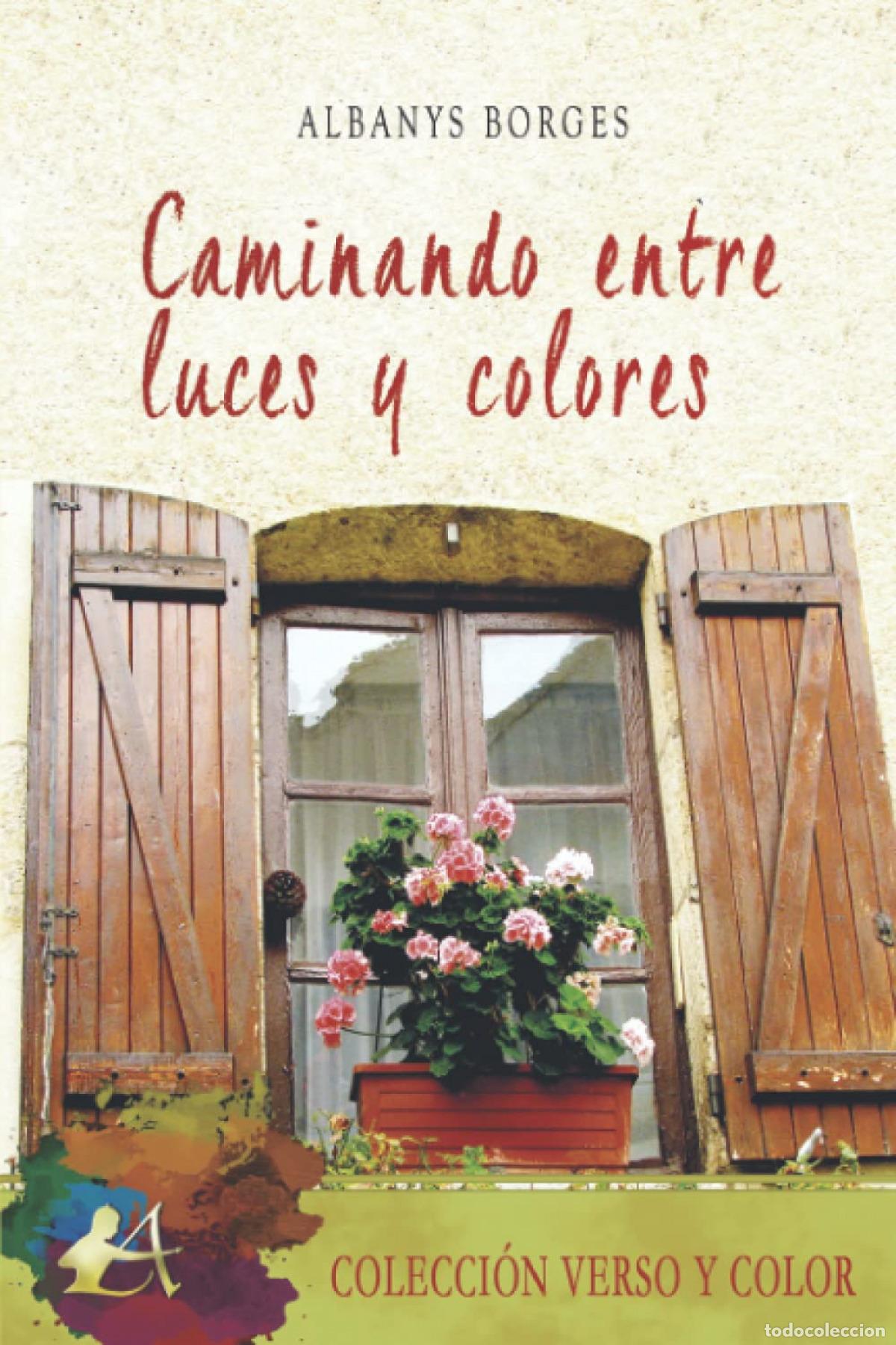 Libros: Caminando entre luces y colores - Borges, Albanys - Foto 1