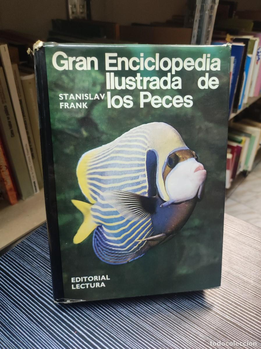 Libros: GRAN ENCICLOPEDIA ILUSTRADA DE LOS PECES. STANISLAV FRANK. - Foto 1