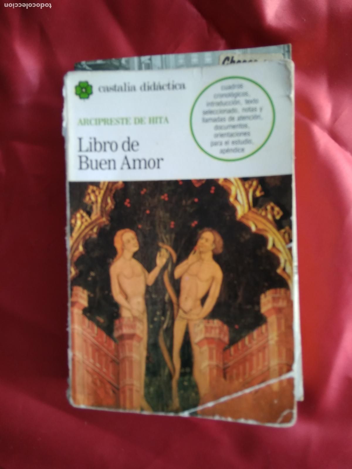 Libros: Libro de buen amor Arcipreste de Hita L.12820-1200 - Foto 1