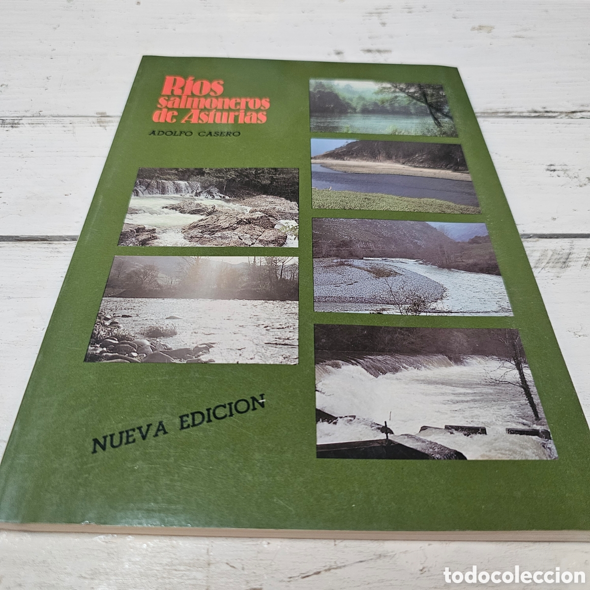 Libros: R&Iacute;OS SALMONEROS DE ASTURIAS - Foto 1