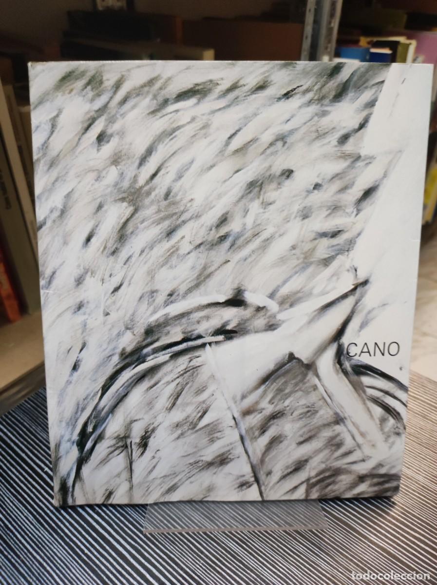 B&uuml;cher: CANO SALA LUZAN CAJA DE AHORROS DE LA INMACULADA ZARAGOZA