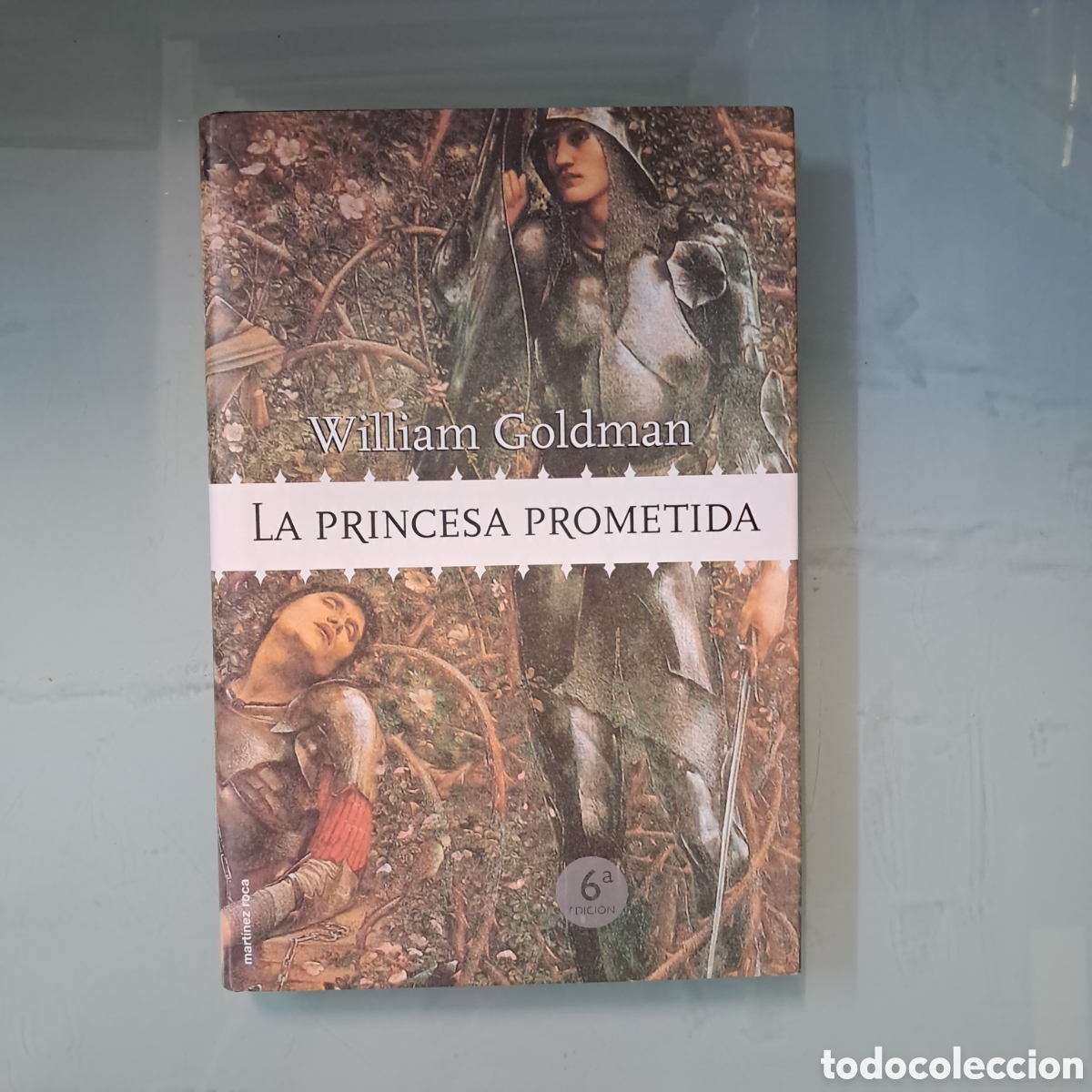 Libros: William Goldman,La princesa prometida, Mr - Foto 1