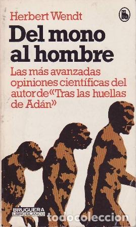 Libros: WENDT, Herbert.- - Del mono al hombre. - Foto 1