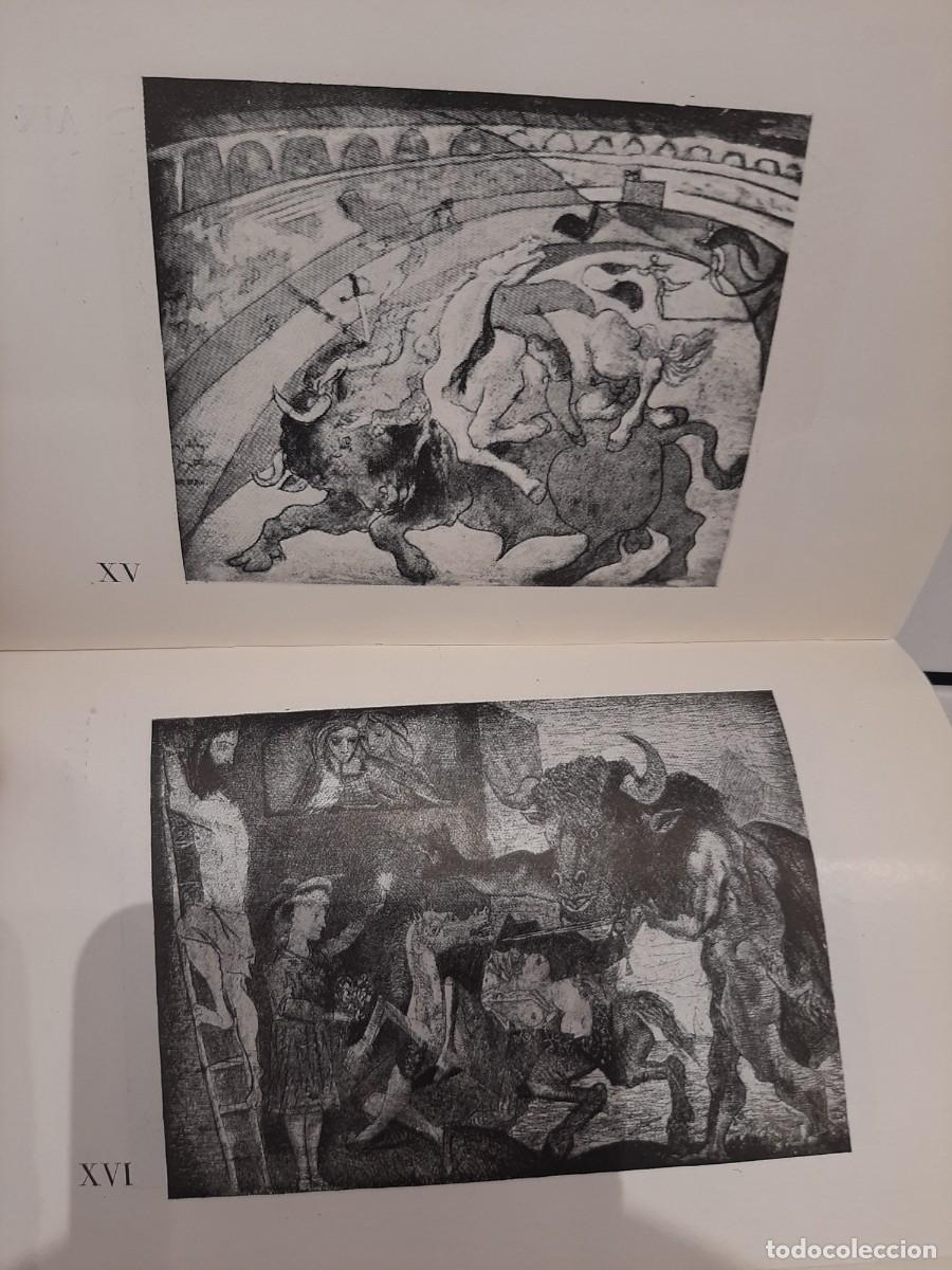 Libros: Vicente Marrero Su&aacute;rez. Picasso y el toro - Foto 5