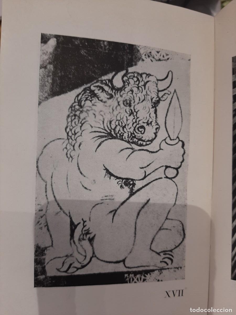 Libros: Vicente Marrero Su&aacute;rez. Picasso y el toro - Foto 6