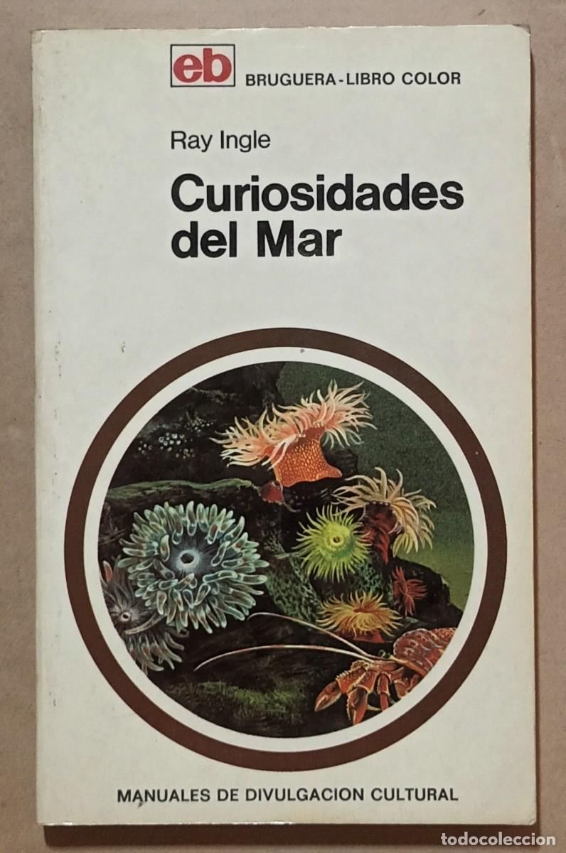 Libros: CURIOSIDADES DEL MAR - RAY INGLE - BRUGUERA - 1969 - Foto 1