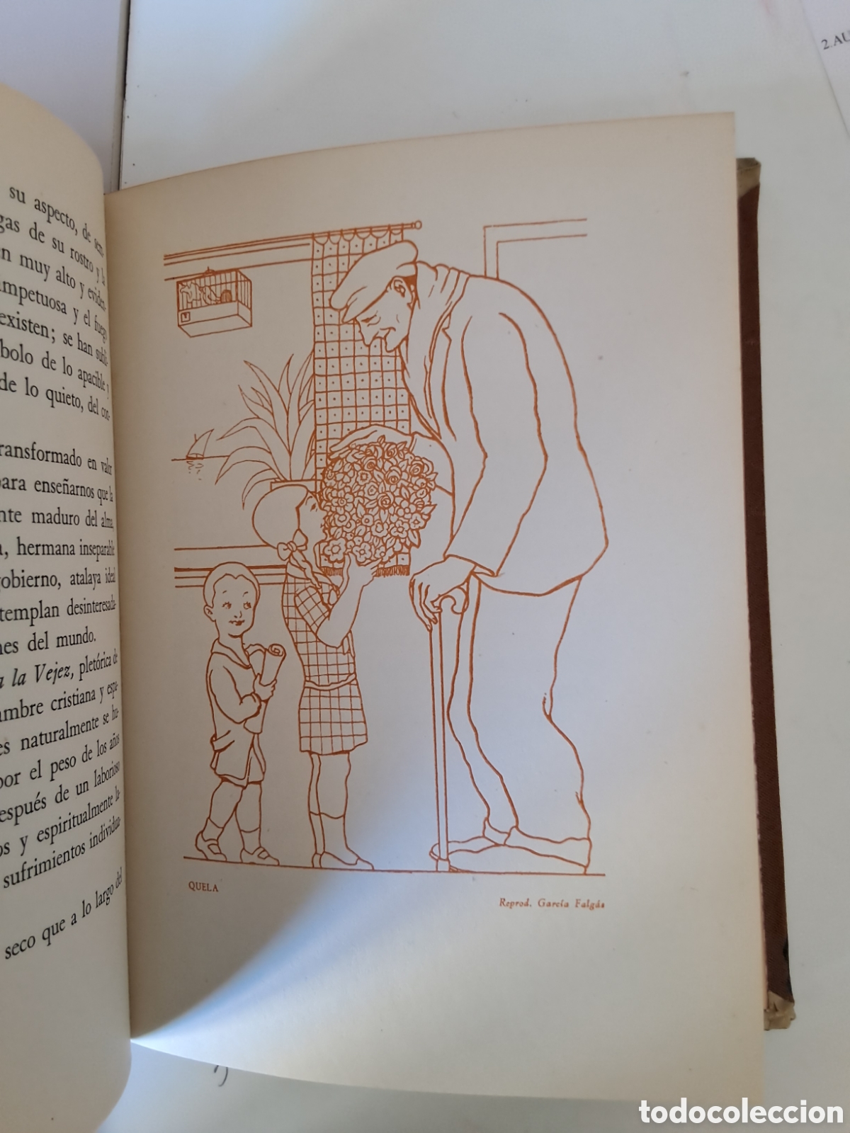Libros: LA ANCIANIDAD. Enrique Lu&ntilde;o Pe&ntilde;a. - Foto 5