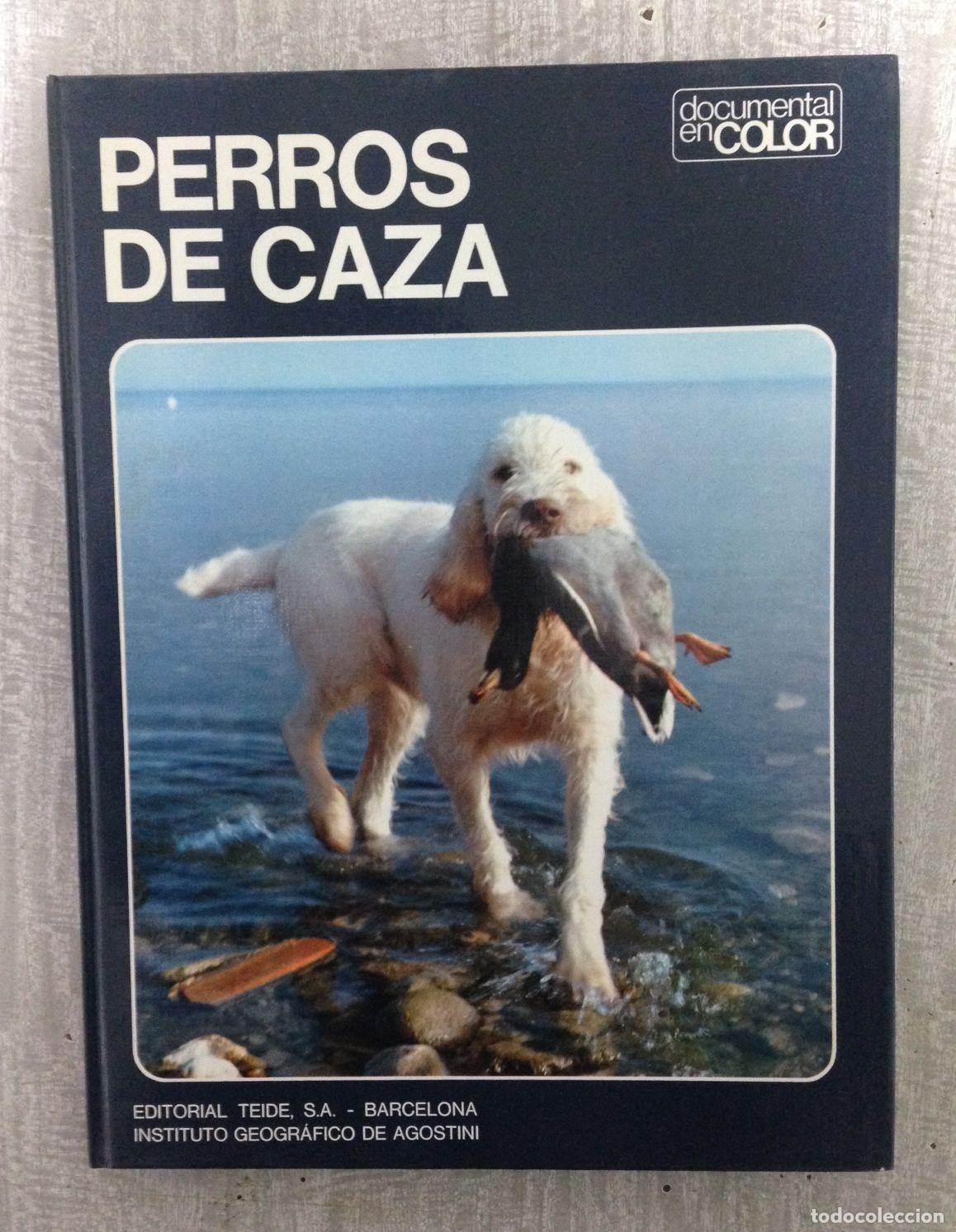 Libros: PERROS DE CAZA - Foto 1