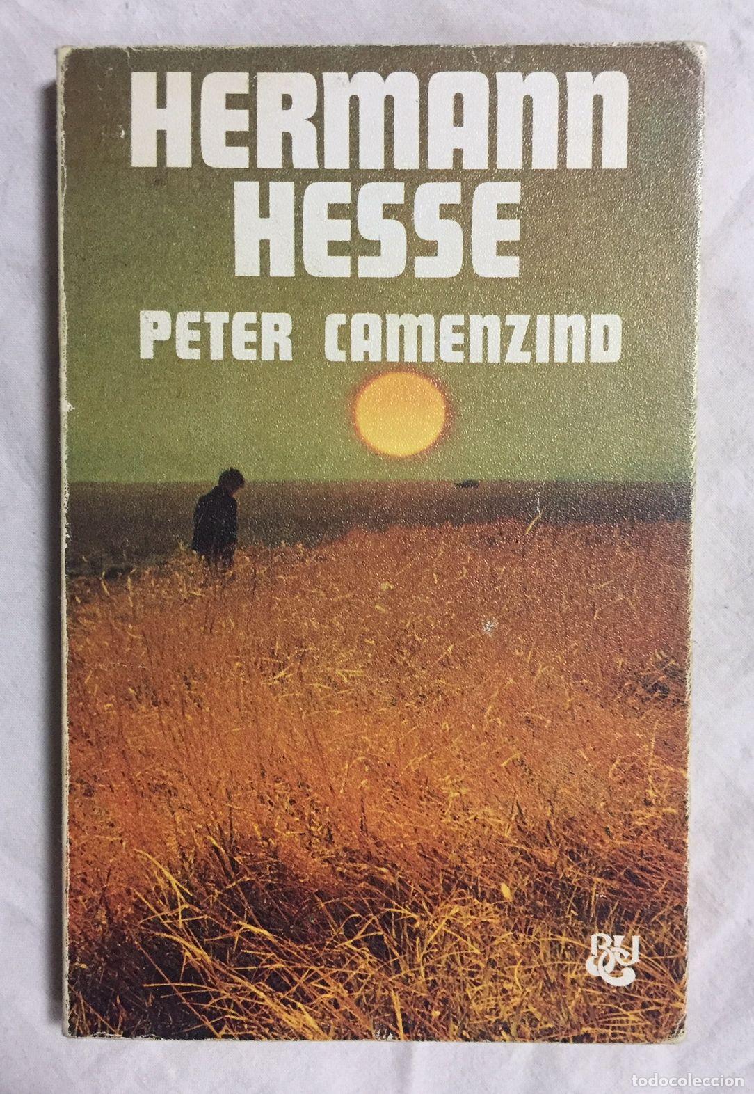 Libros: PETER CAMENZIND - Foto 1