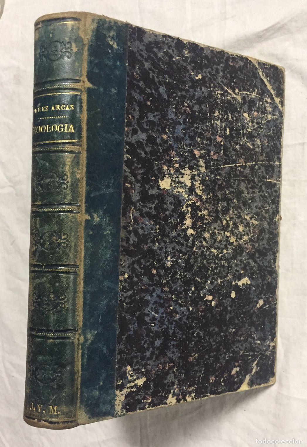 Libros: ELEMENTOS DE ZOOLOGIA - Foto 1