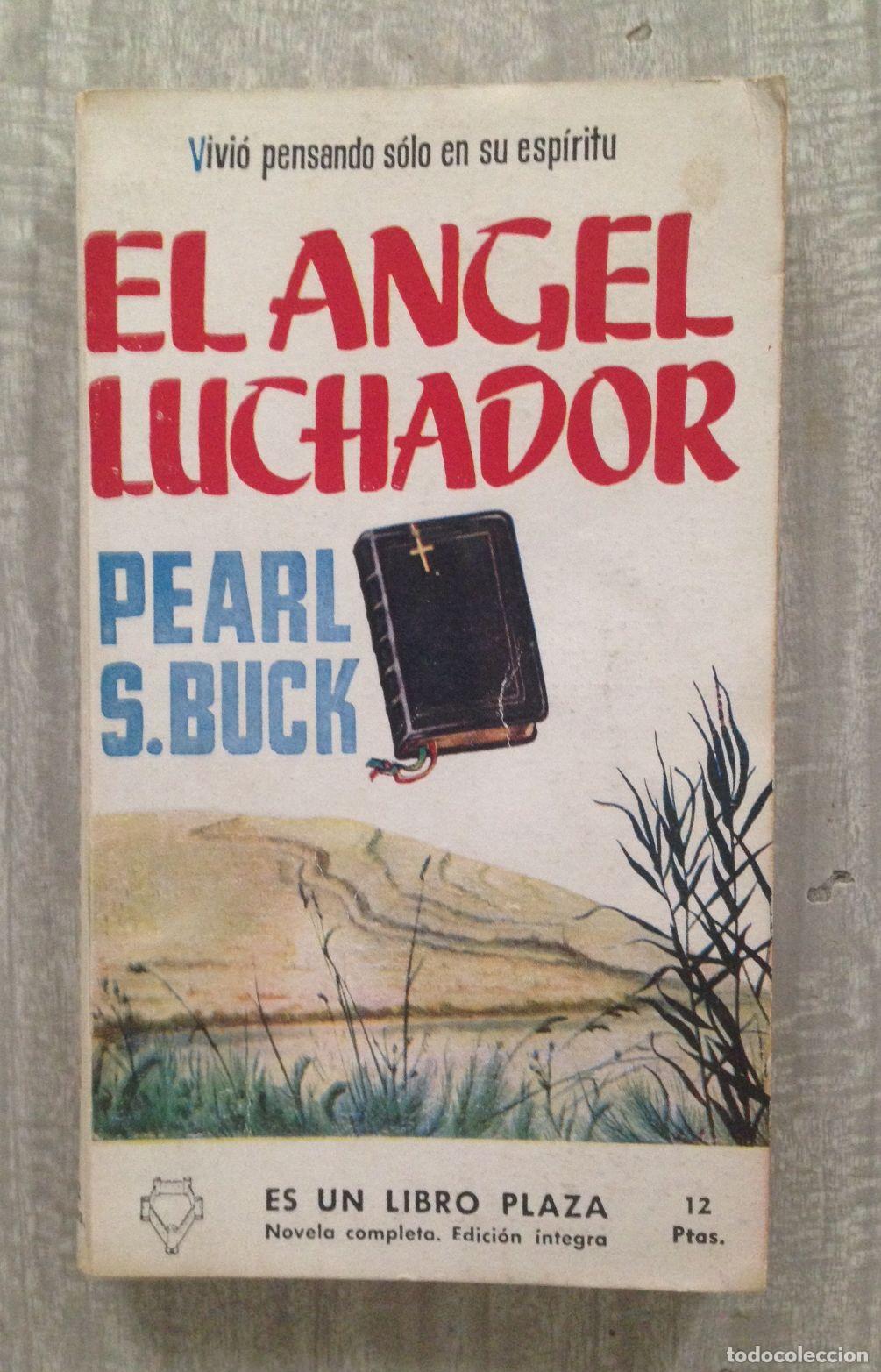 Libros: EL ANGEL LUCHADOR - Foto 1