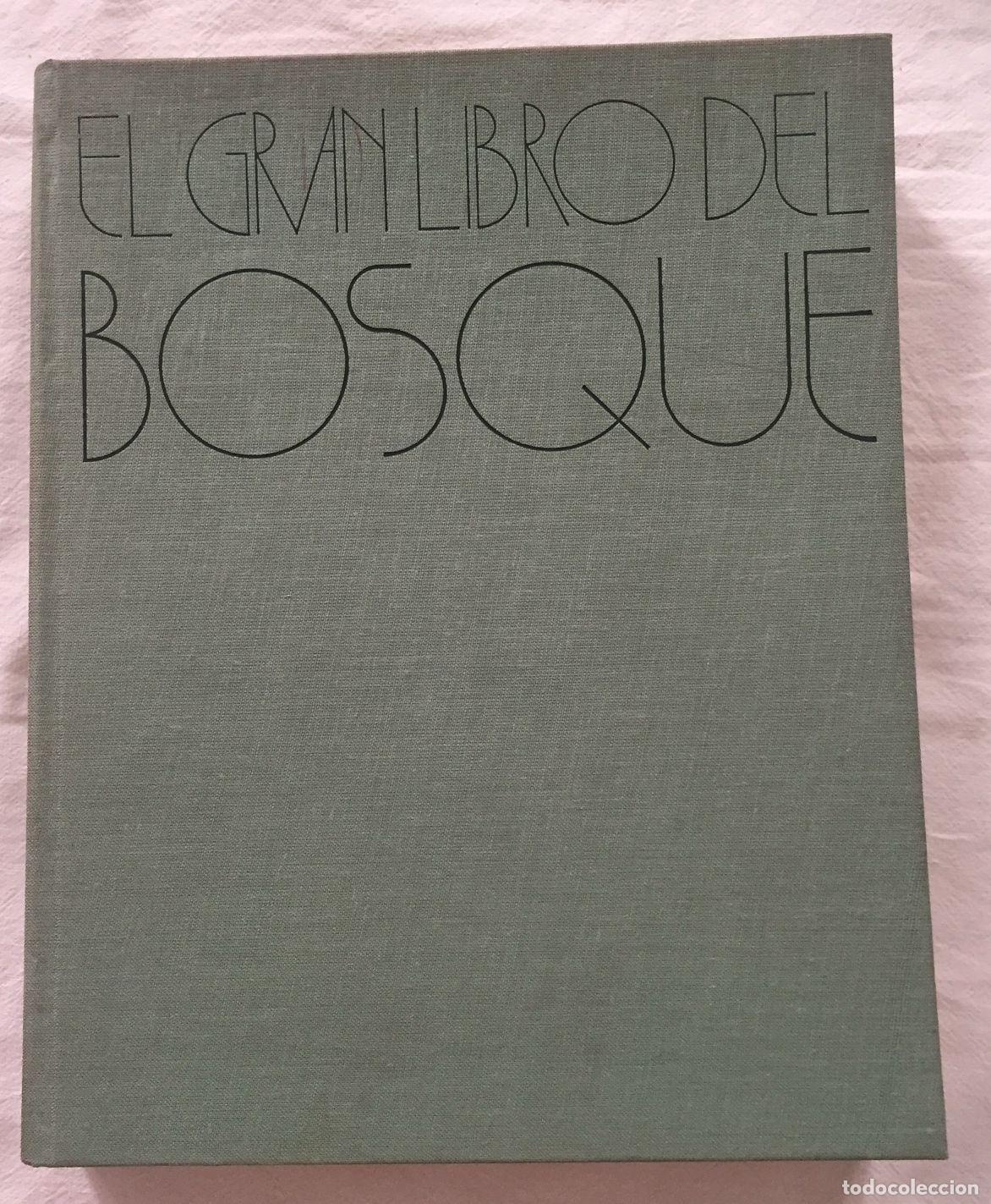 Libros: EL GRAN LIBRO DEL BOSQUE - Foto 1