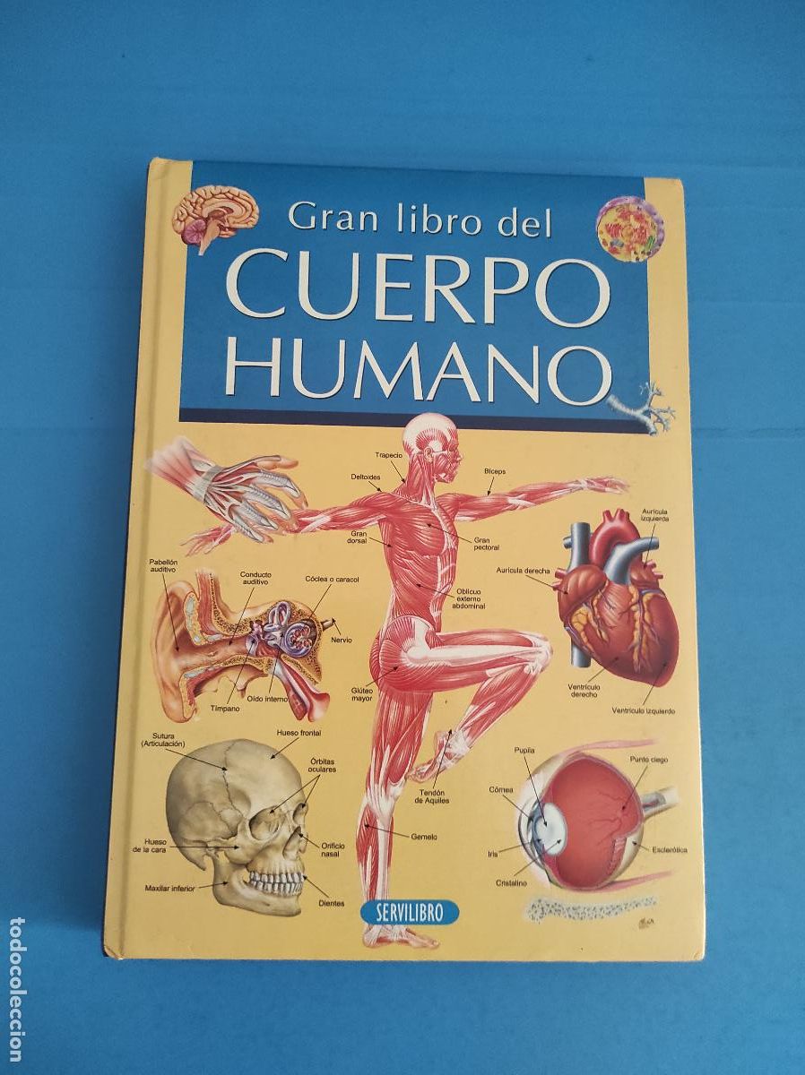 Libros: LIBRO DE EL GRAN LIBRO DEL CUERPO HUMANO A&Ntilde;O 2016 DE SERVILIBRO - Foto 1