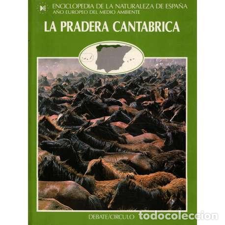 Libros: La pradera del cantabrico - VV. AA. - Foto 1