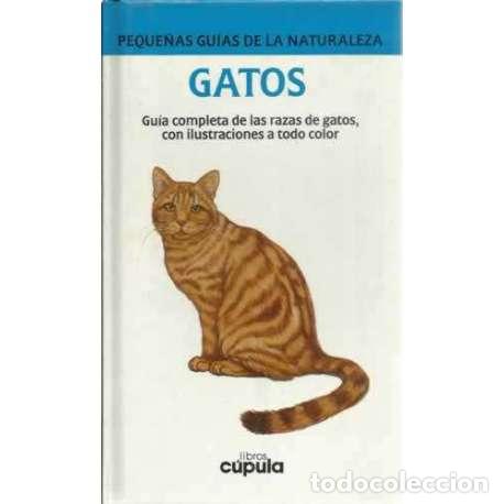 Libros: Gatos - Burn, David/ Bell, Chris - Foto 1