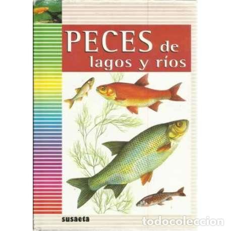 Libros: Peces de lagos y r&iacute;os - Pecl, Karel - Foto 1