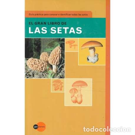 Libros: El gran libro de las setas - Bielli, Ettore - Foto 1