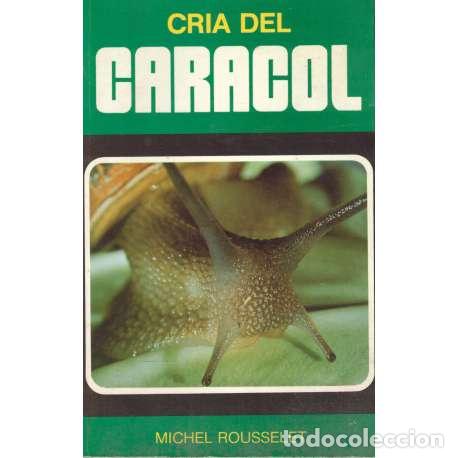 Libros: Cr&iacute;a del caracol - Rousselet, Michel - Foto 1