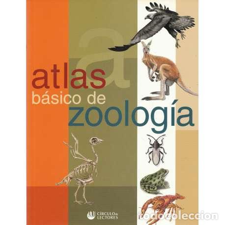 Libros: Atlas b&aacute;sico de zoolog&iacute;a - VV. AA. - Foto 1