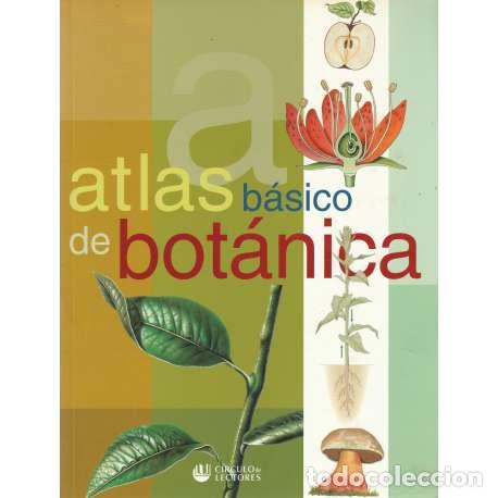 Libros: Atlas b&aacute;sico de bot&aacute;nica - VV. AA. - Foto 1