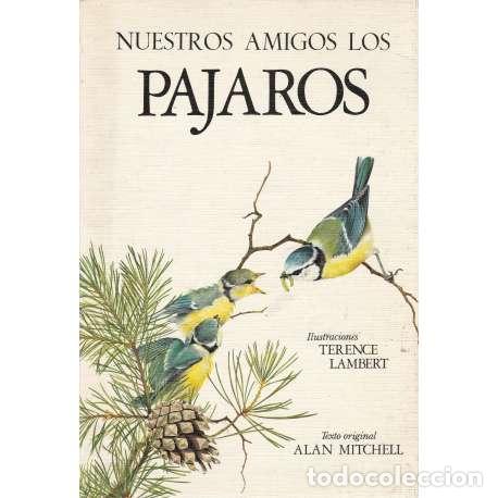 Libros: Nuestros amigos los p&aacute;jaros - Mitchell, Alan - Foto 1