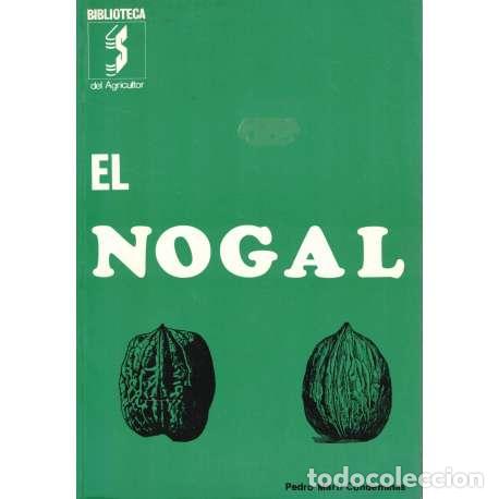 Libros: El nogal - Pedro Mart&iacute; Condeminas - Foto 1