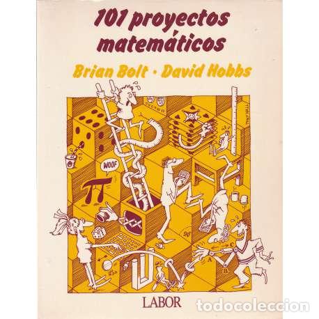 Libros: 101 Proyectos matem&aacute;ticos - Bolt, Brian/ Hobbs, David - Foto 1