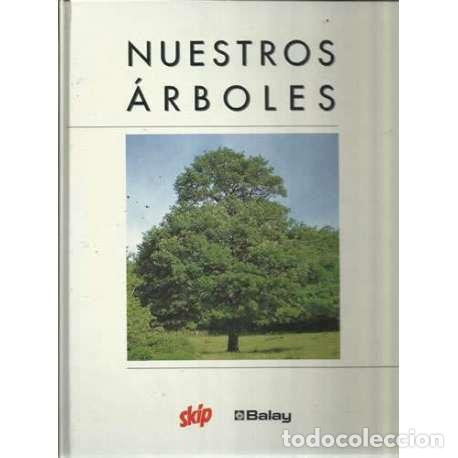 Libros: Nuestros arboles - Rita Triay / Lu&iacute;s Rizo / Mart&iacute; Torres - Foto 1