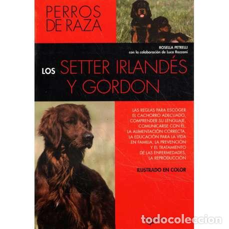 Libros: Los Setter Irland&eacute;s y Gordon - Petrelli, Rosella - Foto 1