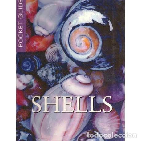 Libros: Shells. Pocket guide - An Oceana Book - Foto 1