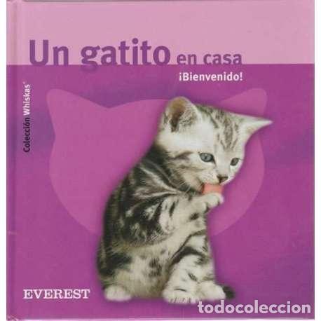 Libros: Un gatito en casa - Gerd Ludwig - Foto 1