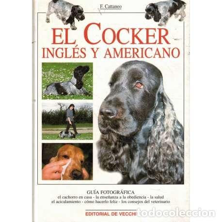 Libros: El Cocker ingl&eacute;s y americano - Cattaneo, Filippo - Foto 1
