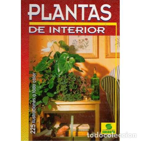 Libros: Plantas de interior - Haager, Jir&iacute; - Foto 1