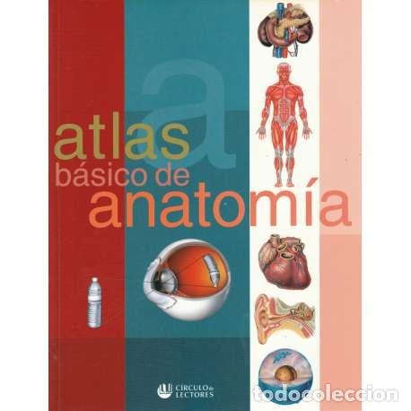 Libros: Atlas b&aacute;sico de anatom&iacute;a - VV. AA. - Foto 1
