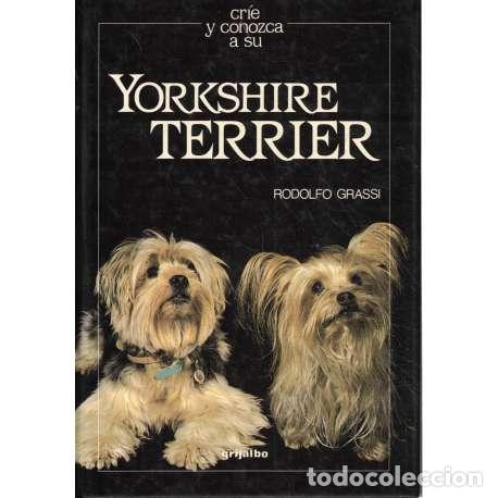 Libros: Cr&iacute;e y conozca a su Yorkshire Terrier - Grassi, Rodolfo - Foto 1