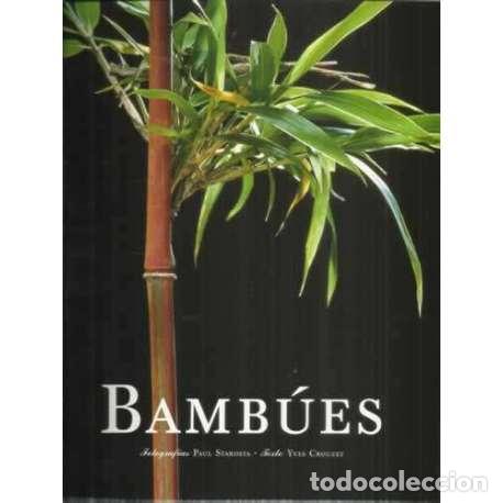 Libros: Bamb&uacute;es - VV. AA. - Foto 1