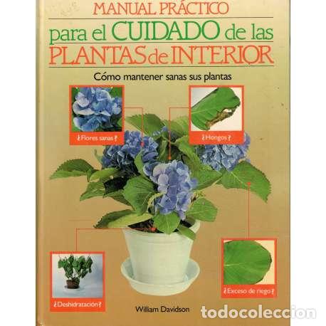 Libros: Manual pr&aacute;ctico para el cuidado de las plantas de interior - William Davison - Foto 1