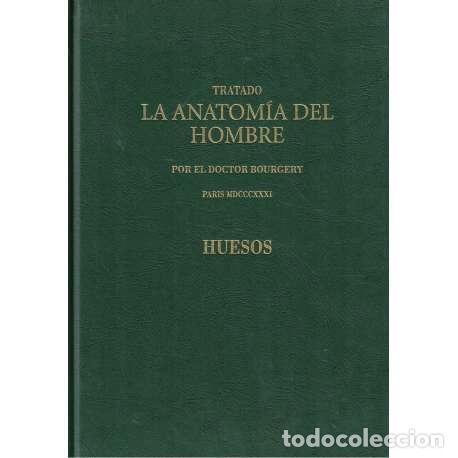 Libros: Tratado La Anatom&iacute;a del Hombre. Huesos - J. M. Bourgery - Foto 1