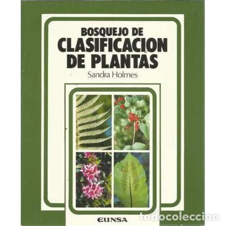 Libros: BOSQUEJO DE CLASIFICACI&Oacute;N DE PLANTAS - Holmes, Sandra - Foto 1