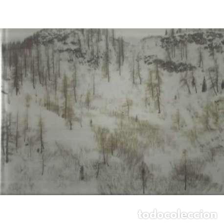 Libros: Jim Cooke. Re-placing Arcadia - Jim Cooke - Foto 1
