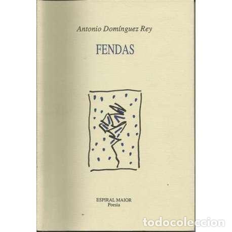 Libros: Fendas - Antonio Dom&iacute;nguez Rey - Foto 1