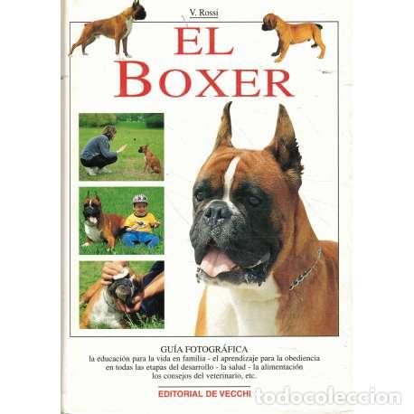 Libros: El Boxer - Rossi, Valeria - Foto 1