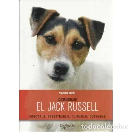 Libros: El Jack Russell - Valeria Rossi - Foto 1