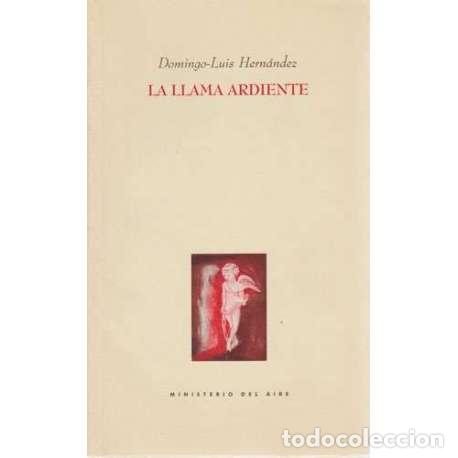 Libros: La llama ardiente - Domingo-Luis Hern&aacute;ndez - Foto 1