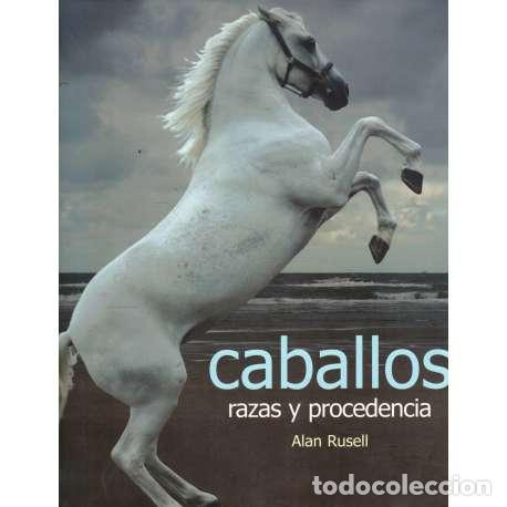 Libros: Caballos, razas y procedencia - Rusell, Alan - Foto 1