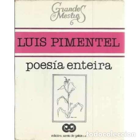 Libros: Poes&iacute;a enteira - Lu&iacute;s Pimentel - Foto 1