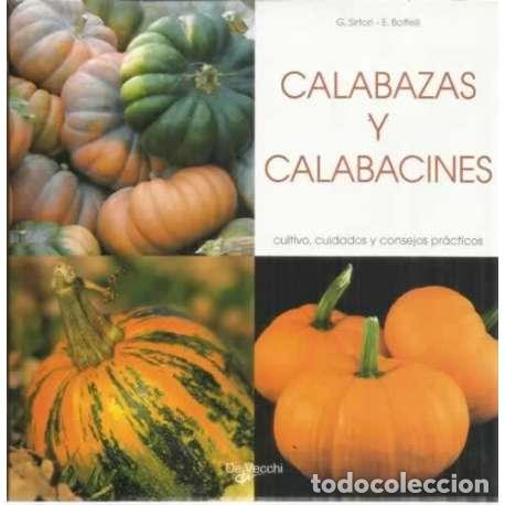 Livros em segunda m&atilde;o: Calabazas y calabacines. Cultivo, cuidados y consejos pr&aacute;cticos - Sirtori, G/ Boffelli, E