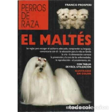 Libros: El malt&eacute;s - Prosperi, Franco - Foto 1